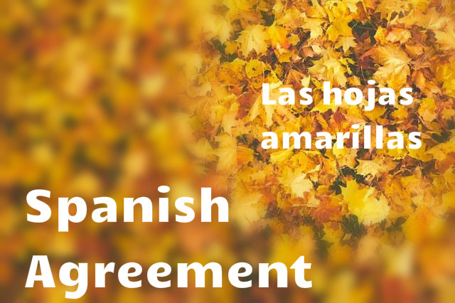 Spanish agreement by types of words