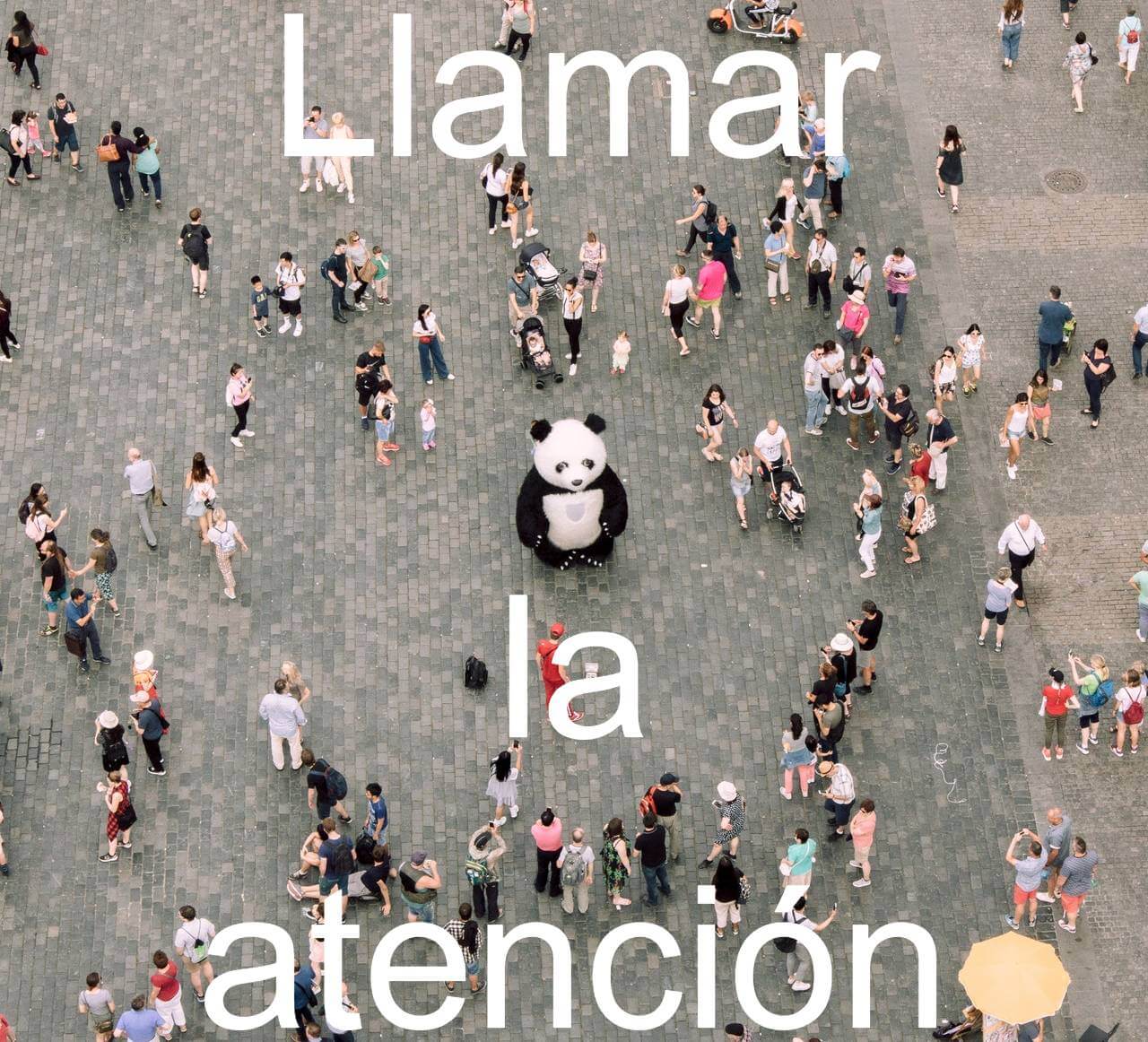 Llamar la atención, a must have expression!