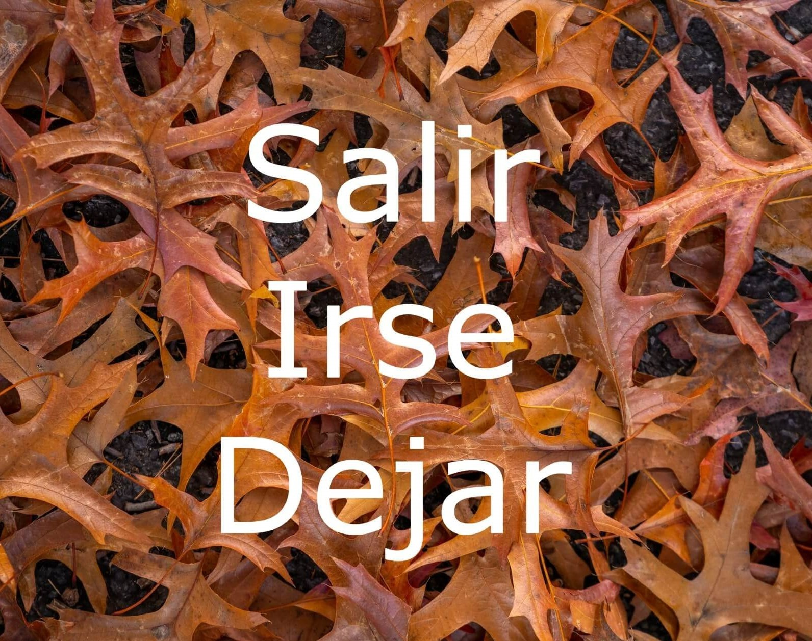 "To leave" in Spanish (salir, dejar, irse?)